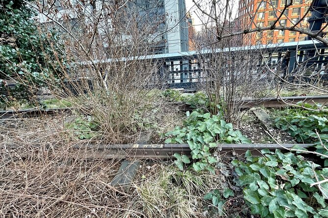 The Story of the High Line Elevated Park and Hudson Yards - Price, group size, and the cancellation risk