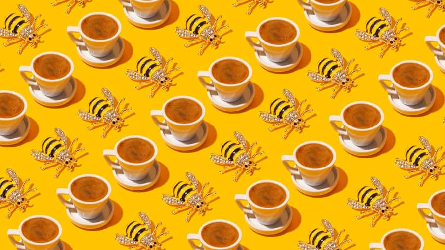 Turkish Coffee Fortune Ceremony - How the 1.5-hour ceremony unfolds