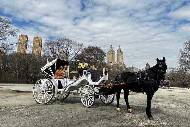 Unforgettable Luxury Horse and Carriage Tours in Central Park - Starting at 200 West 59th Street