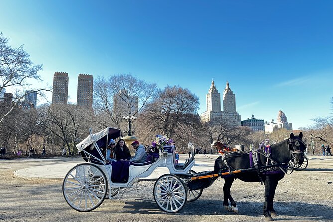 Unforgettable Luxury Horse and Carriage Tours in Central Park - The first building and the Smurfs connection