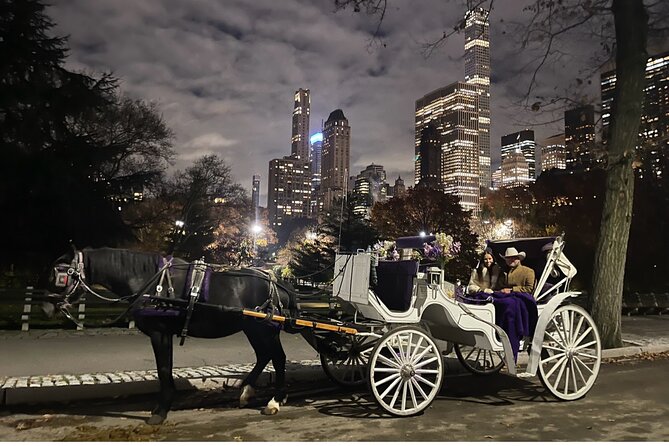 Unforgettable Luxury Horse and Carriage Tours in Central Park - The Carousel and one of America’s oldest merry-go-rounds