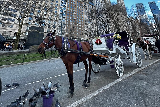 Unforgettable Luxury Horse and Carriage Tours in Central Park - The heroic dog story and Balto’s statue