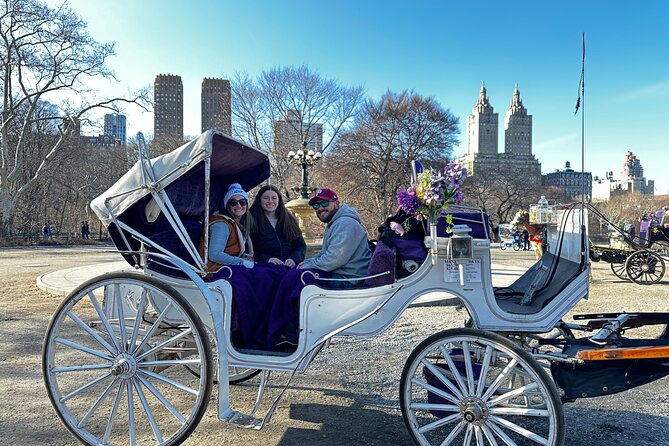Unforgettable Luxury Horse and Carriage Tours in Central Park - The Wollman ice rink and Central Park’s screen fame