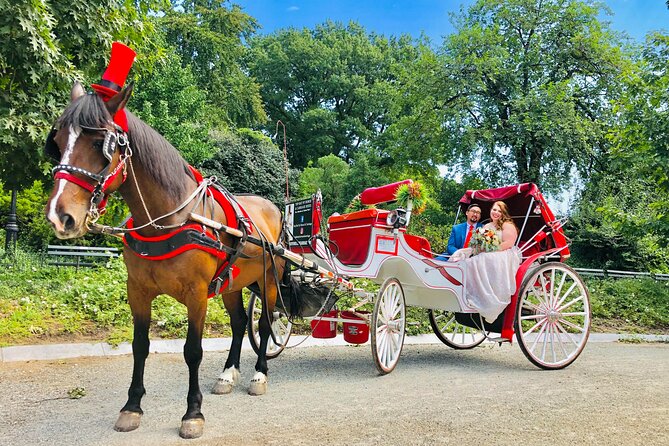 VIP Central Park Champagne Tour with Photos(50 min)~Skip the line - Champagne, photos, and the small details