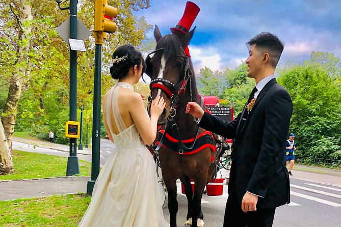 VIP Central Park Champagne Tour with Photos(50 min)~Skip the line - Timing, weather, and planning advice