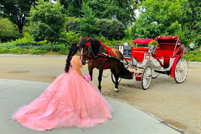 VIP Central Park Champagne Tour with Photos(50 min)~Skip the line - What the driver adds to the experience