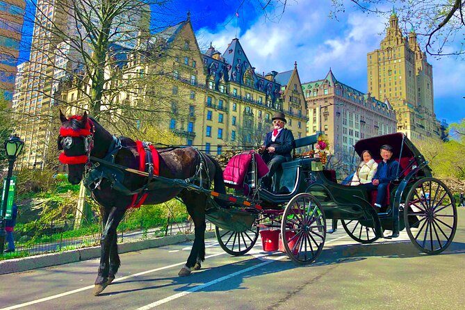 VIP Central Park Experience Tour with photos 50min~Skip the line - What This Central Park Carriage Ride Is Really Like