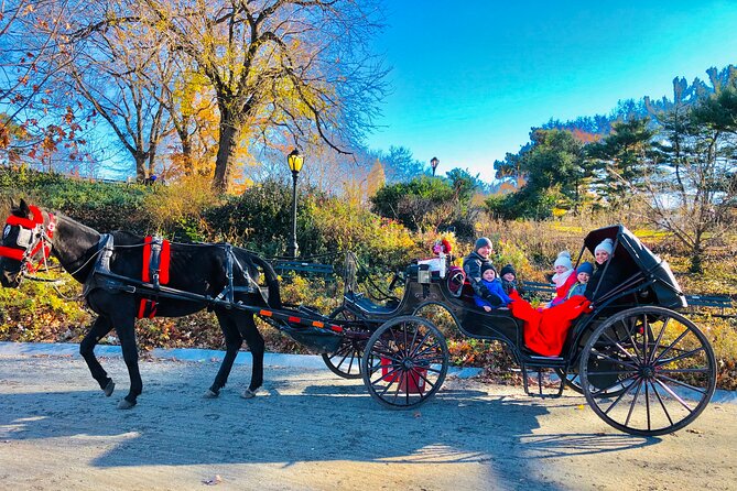 VIP Central Park Experience Tour with photos 50min~Skip the line - Bethesda Terrace and the Ten-Minute Fountain Stop