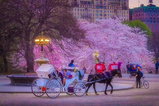 VIP Central Park Experience Tour with photos 50min~Skip the line - The Mall, Balto, and Sheep Meadow