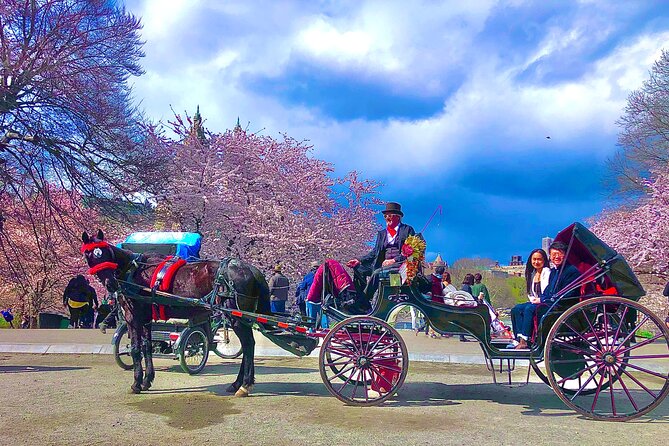 VIP Central Park Experience Tour with photos 50min~Skip the line - Starting Near the Famous Ice-Skating Rink