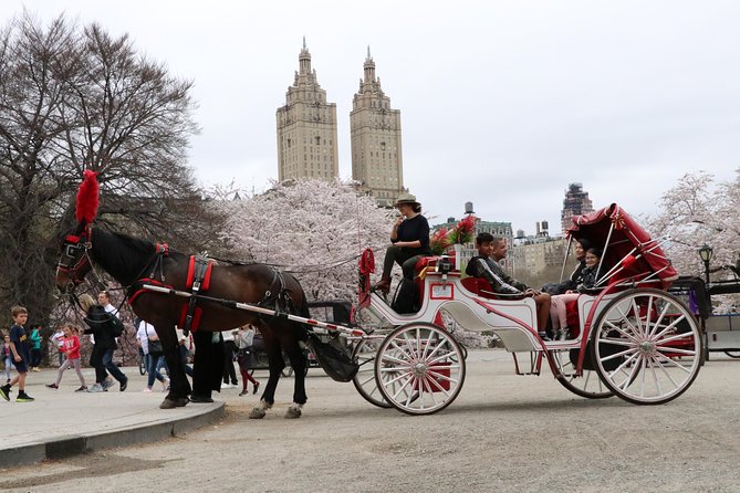 VIP Horse Carriage Ride through Central Park (Up to 4 Adults) - The carousel, zoo, and the southern park