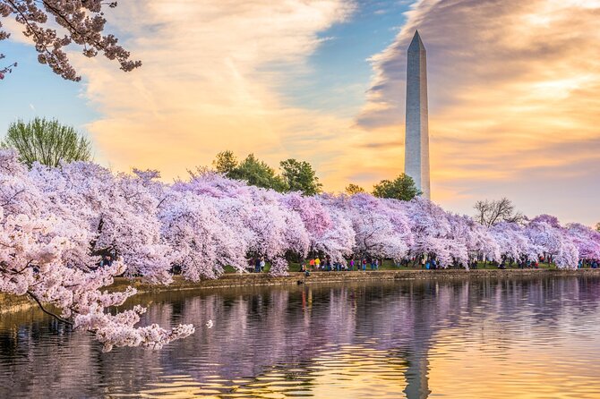 Washington DC Day Tour from New York City - Key points to know before booking