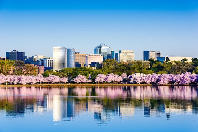 Washington DC & Philadelphia 1-Day Guided Tour from NYC - Free time in Washington and the case for packing lunch
