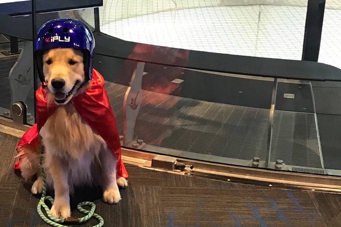 Westchester Indoor Skydiving Admission with 2 Flights & Personalized Certificate - Handling nerves, breathing, and the group wait